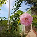 Вилла Beautiful In + Pool Caccamo